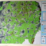 08-I-maggio-ACLI-2015-016