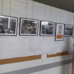 P1330296