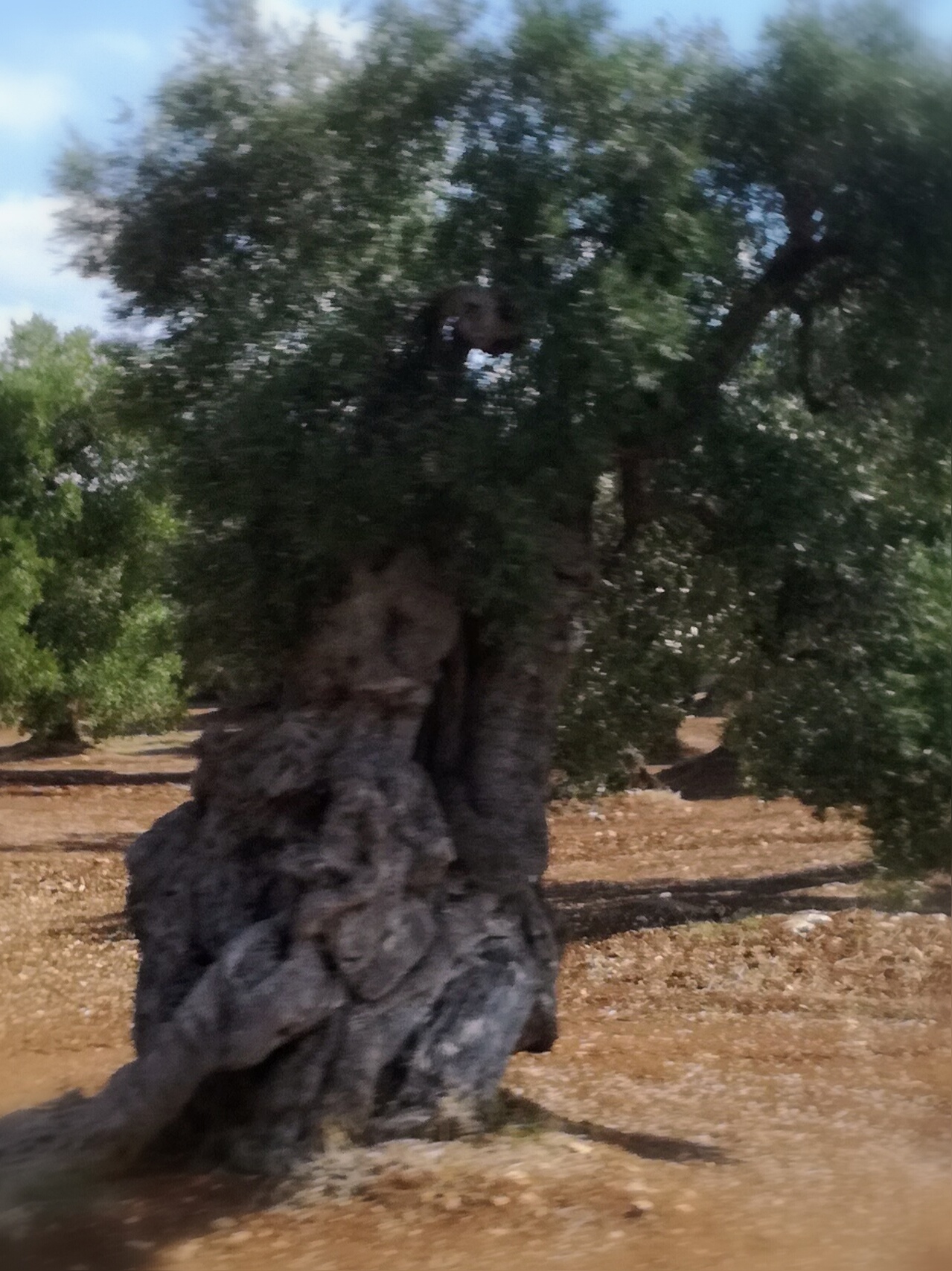 32-la-natura-1