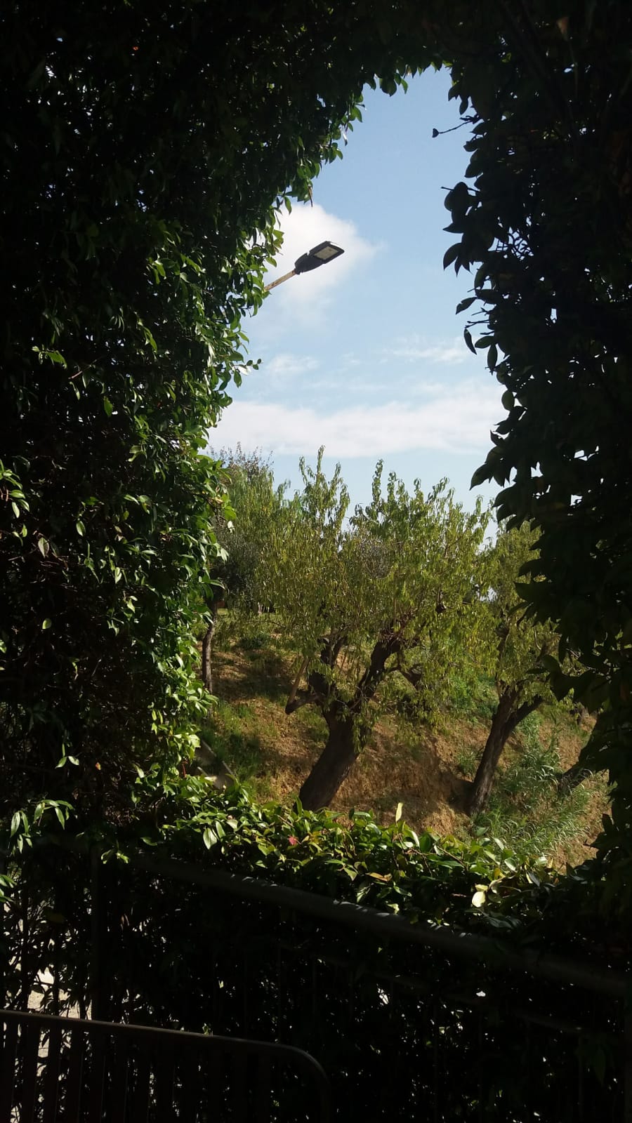 37-Cielo-marchigiano